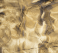 Honey Onyx