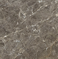 Savana Grey