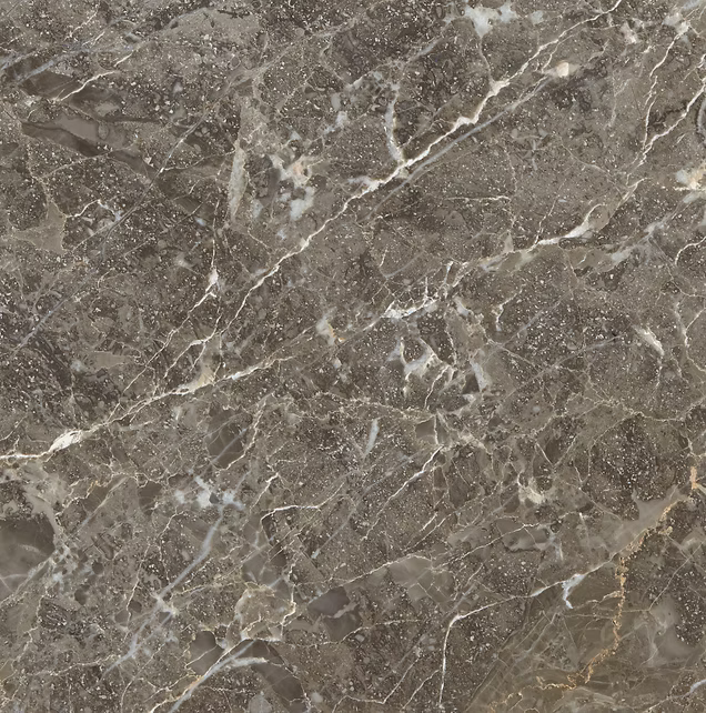 Savana Grey