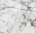 Invisible Grey